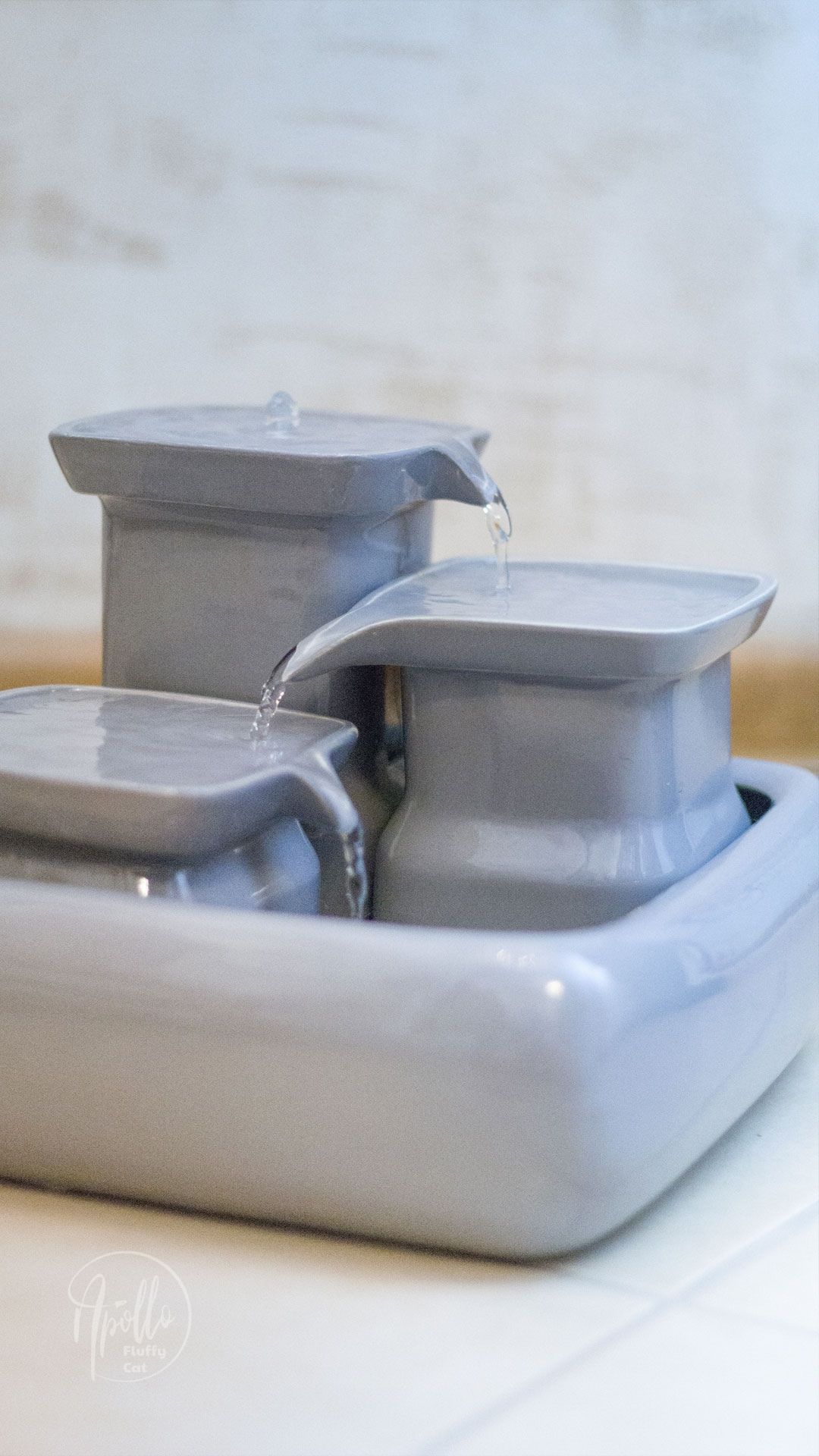 Review Miaustore ceramic cat water fountain » Apollo Fluffy Cat Blog