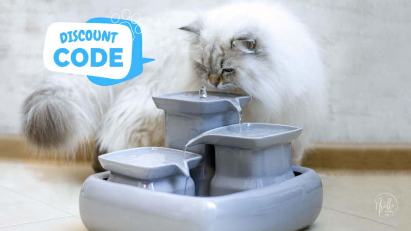 Review: Miaustore ceramic cat water fountain