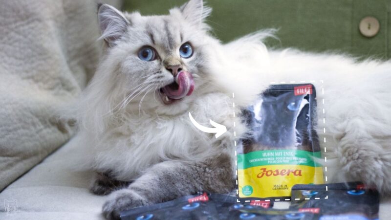 Recenzja: Josera Filet mokra karma dla kota