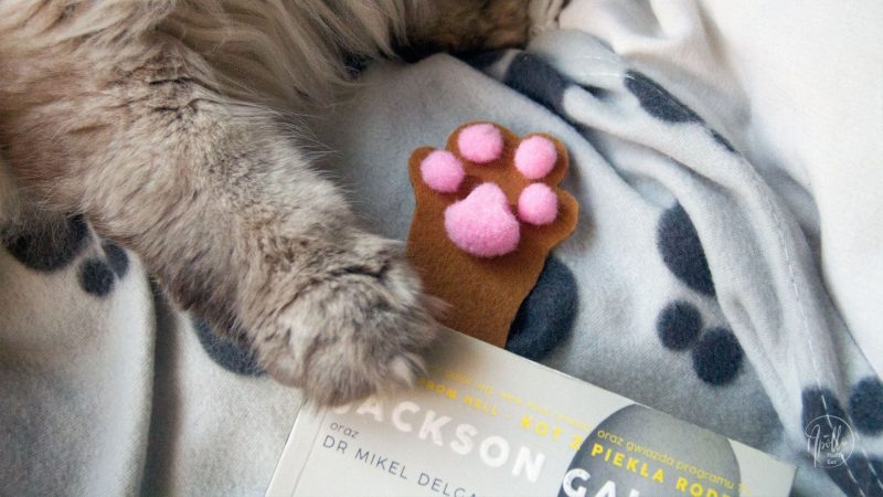 How to make a felt 3D cat paw bookmark