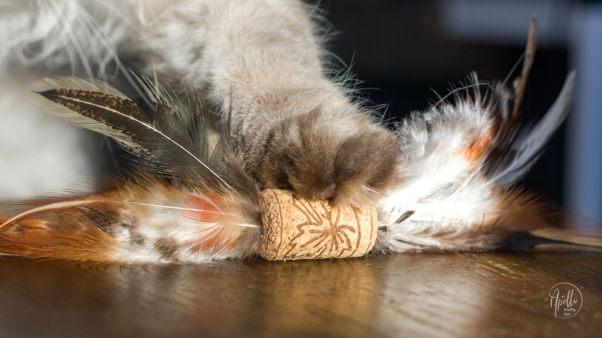Upcycled Cat Cork Toy 3pc