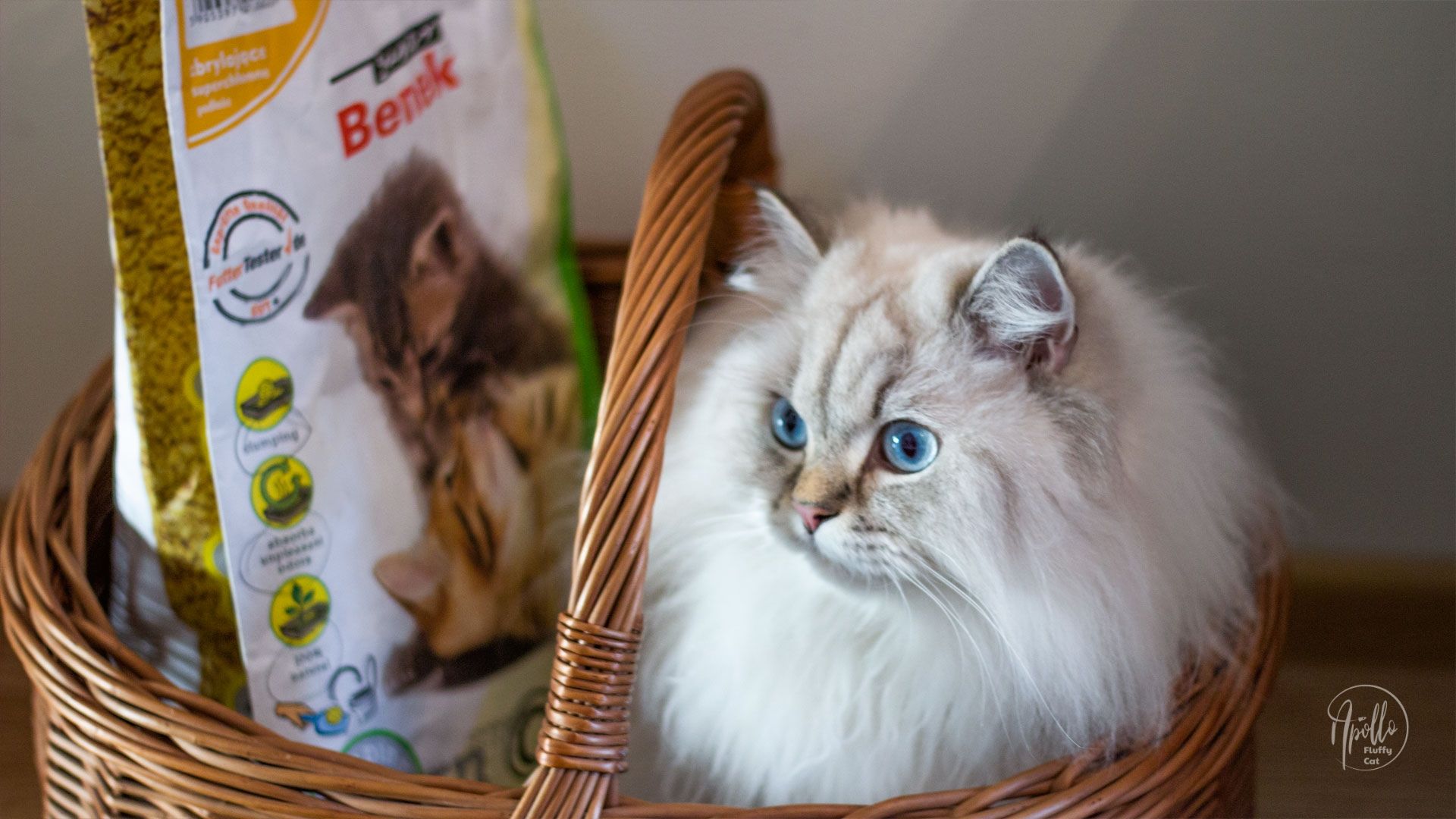 Review: Super Benek Corn Cat litter