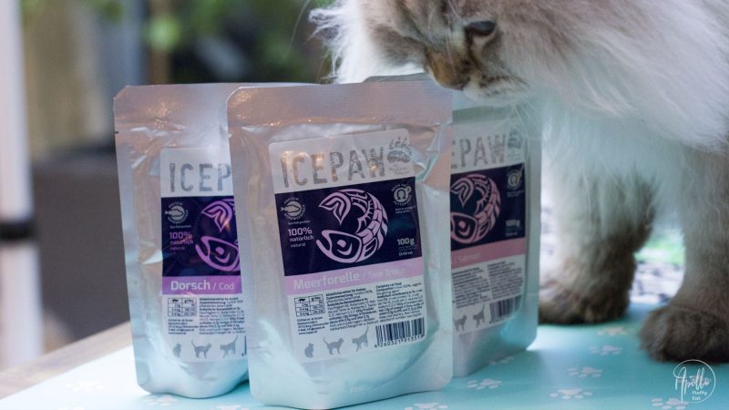Review: ICEPAW wet cat food