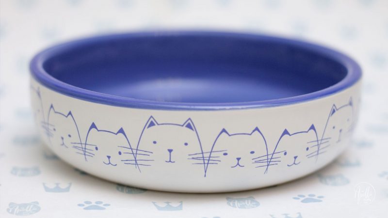 How to choose best bowl for your cat?