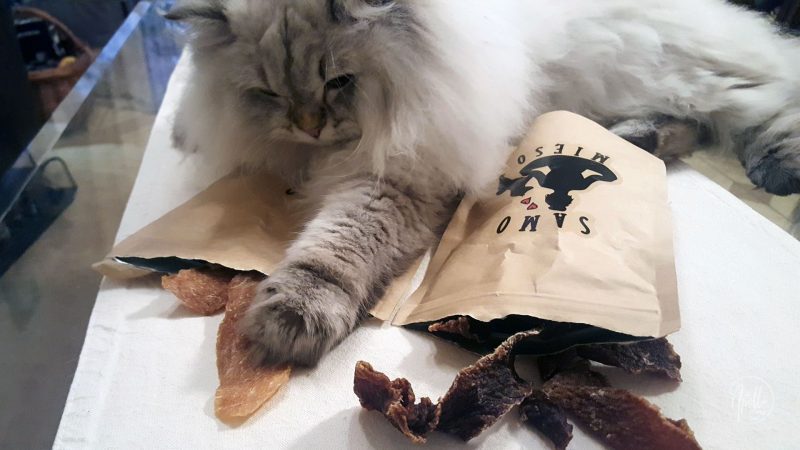 Reivew: Samo Mięso natural treats for cats