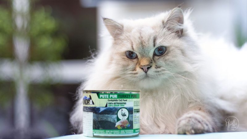 Review: TUNDRA cat wet food