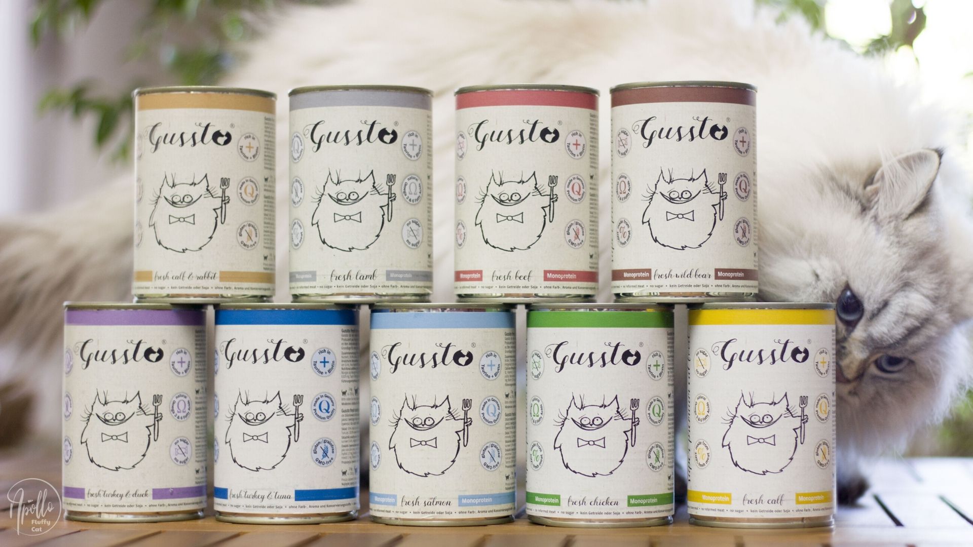 Review: Gusto wet cat food