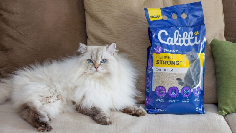 Review: Calitti Strong bentonite cat litter
