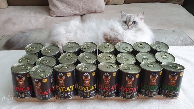 Reivew: LOVCAT wet cat food