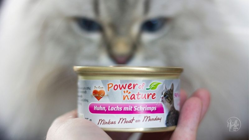 Review: Power of Nature Minkas Meat on Monday wet cat food