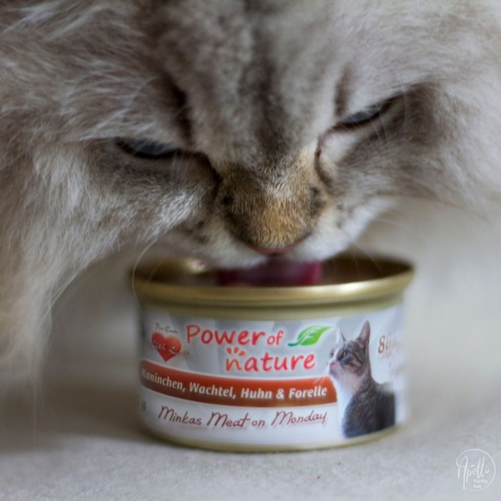 Review: Power of Nature Minkas Meat on Monday wet food » Apollo Fluffy Cat | Blog about and living
