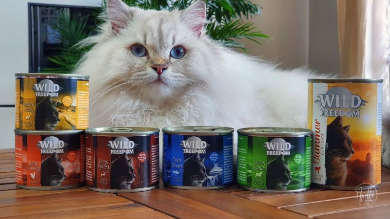 Review: Wild Freedom wet cat food