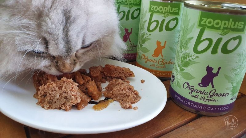 Review: Zooplus Bio wet cat food