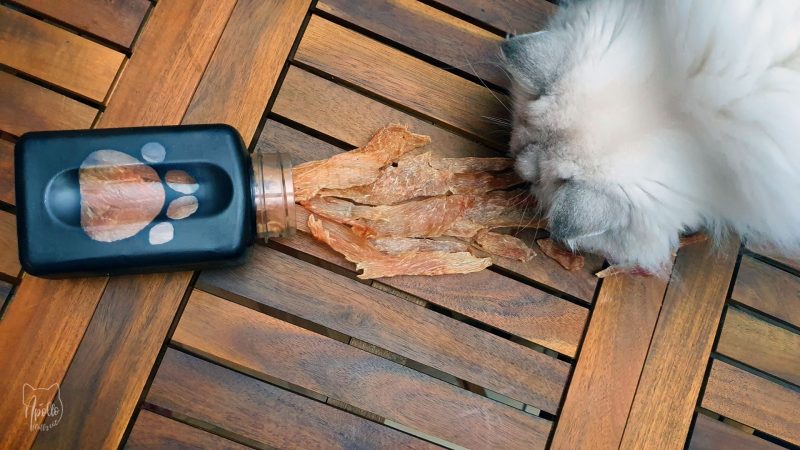 How to make jerky treats for dogs and cats