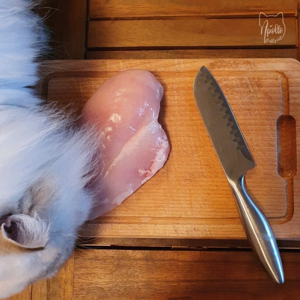 jak zrobić domowe przysmaki z suszonego mięsa dla kotów i psów