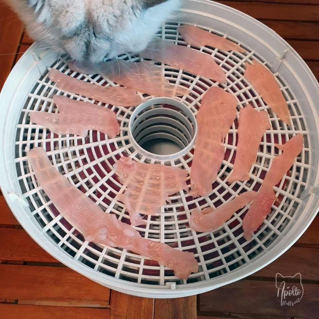 jak zrobić domowe przysmaki z suszonego mięsa dla kotów i psów