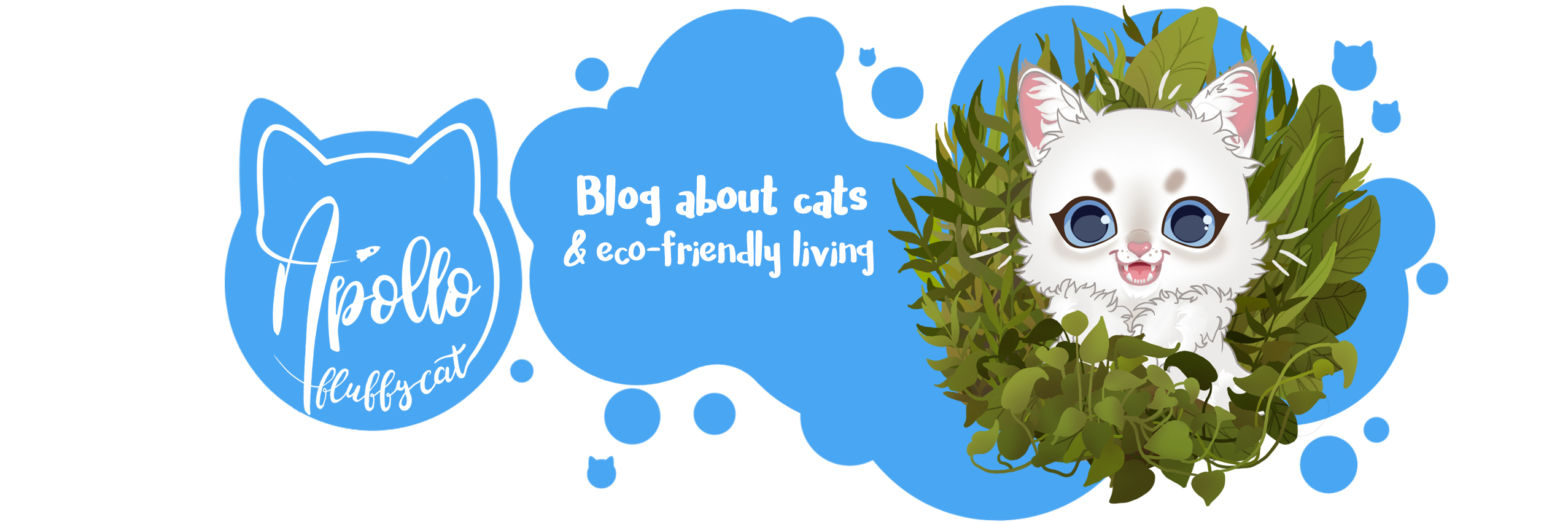 Apollo Fluffy Cat | Blog about cats and eco-friendly living