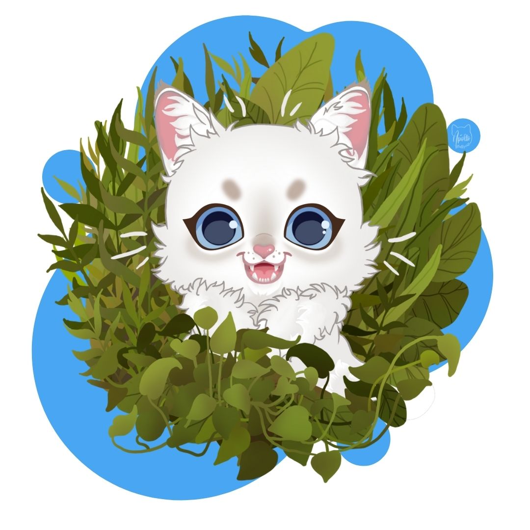 Ampere wreath Zoom in Recenzja: Kitty drewniany żwirek z Biedronki » Apollo Fluffy Cat | Blog o  kotach i ekologii