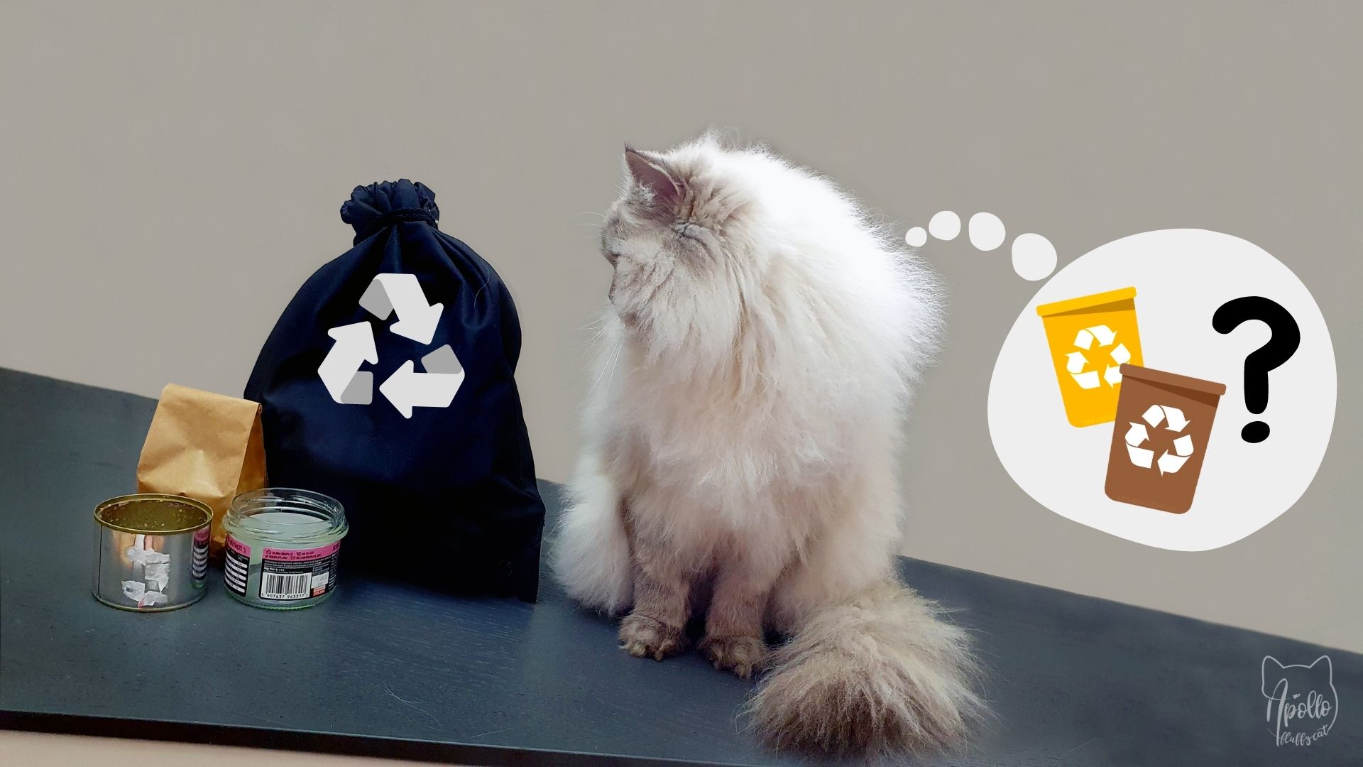 exaggeration Egomania Squirrel Jak prawidłowo segregować kocie odpadki » Apollo Fluffy Cat | Blog o kotach  i ekologii