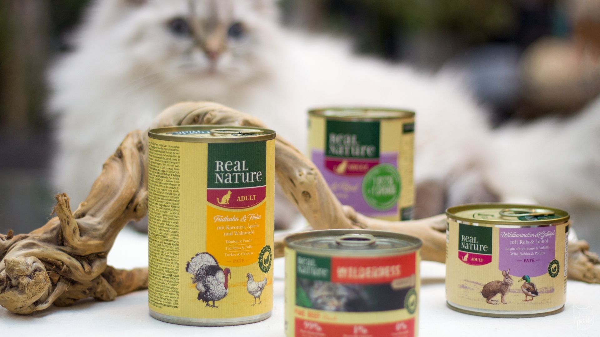 Review: Real Nature wet cat food (MAXI Zoo) » Apollo Cat | Blog about cats and eco-friendly living